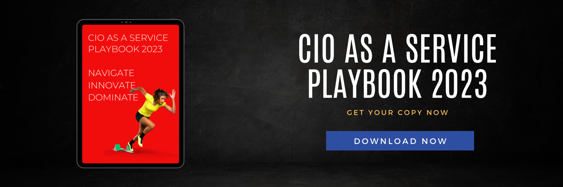CIO Service Playbook